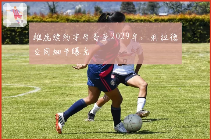 雄鹿续约字母哥至2029年,利拉德合同细节曝光