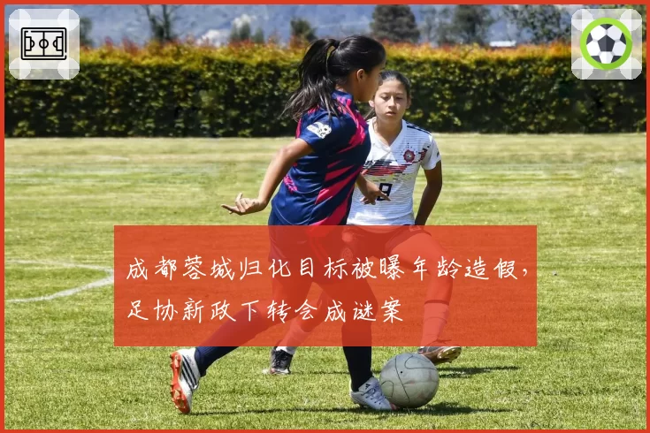 成都蓉城归化目标被曝年龄造假，足协新政下转会成谜案