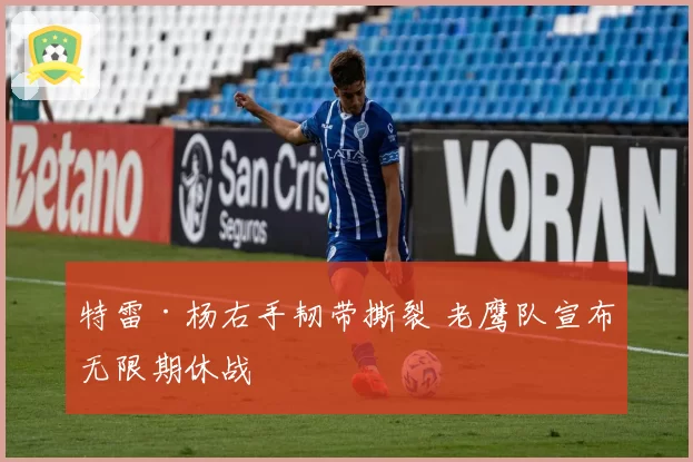 特雷·杨右手韧带撕裂 老鹰队宣布无限期休战
