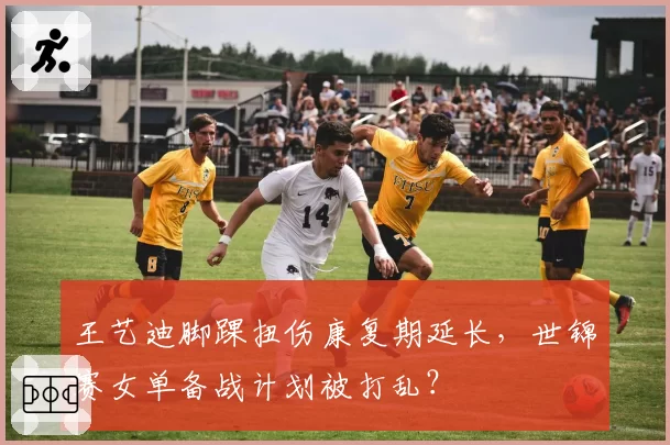 王艺迪脚踝扭伤康复期延长，世锦赛女单备战计划被打乱？